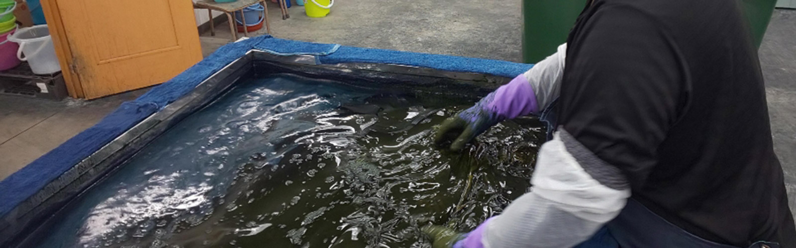 個人情報の保護について